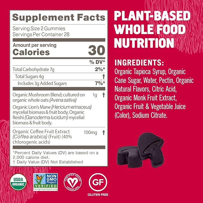 OM MUSHROOM SUPERFOOD Brain Fuel+ Gummies, 28 Servings, Raspberry Gummy Supplement with Lion’s Mane for Memory and Focus
