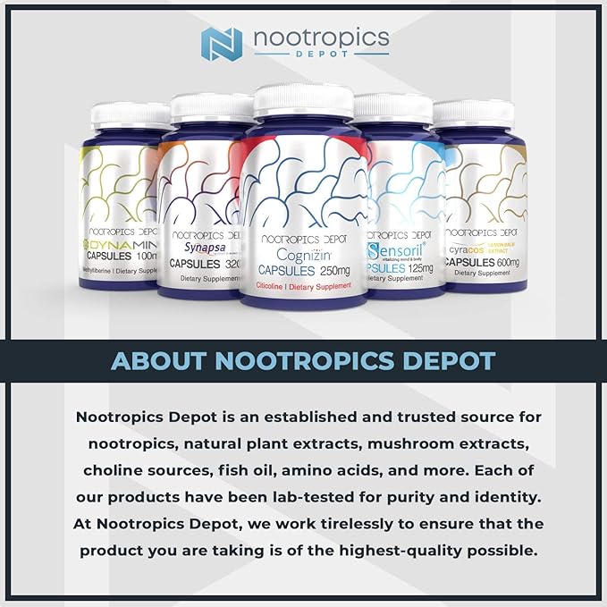 Nootropics Depot Tart Cherry Extract Tablets | 250mg | 120 Count | 10% Anthocyanins | Supports Balanced Oxidation & Inflammation Levels | Promotes Physical Strength & Energy