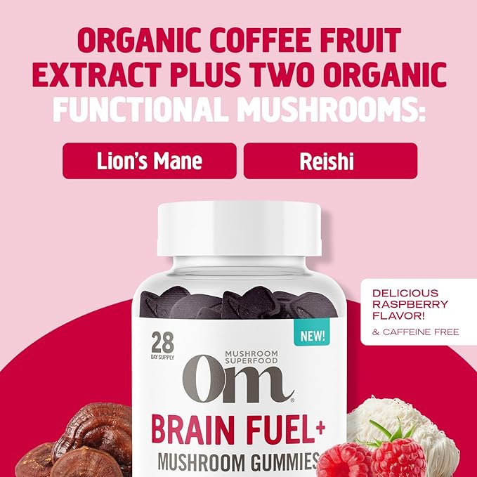 OM MUSHROOM SUPERFOOD Brain Fuel+ Gummies, 28 Servings, Raspberry Gummy Supplement with Lion’s Mane for Memory and Focus