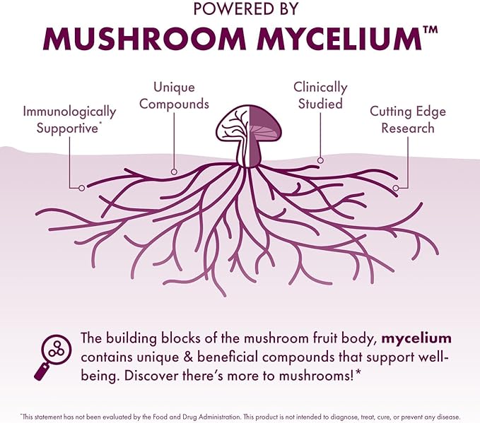 Host Defense MycoBotanicals Microbiome* Powder - Digestive & Immune Health Support Supplement - Gut Health Supplement with Turkey Tail, Lion's Mane & Reishi - 3.5 oz (33 Servings)*