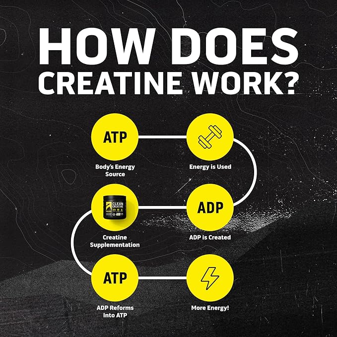Ascent Clean Creatine Monohydrate Powder - 5G Per Serving, Creapure Supplement - Unflavored, 45 Servings