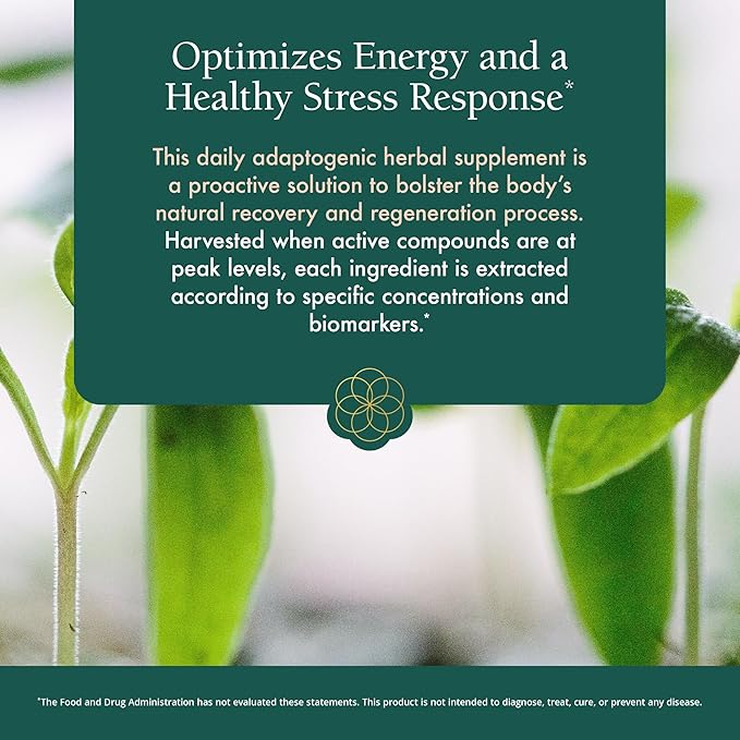 Natura Health Products Power Adapt Supplement - Deep Adrenal and Endocrine Support - Featuring Ashwagandha, Ginseng, Rhodiola Rosea Root Ext. and Cordyceps (60 Capsules)