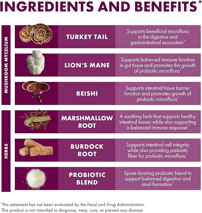 Host Defense MycoBotanicals Microbiome* Powder - Digestive & Immune Health Support Supplement - Gut Health Supplement with Turkey Tail, Lion's Mane & Reishi - 3.5 oz (33 Servings)*