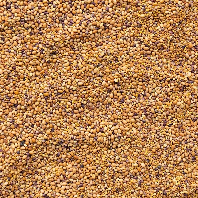 Clover Trio Seed Blend β Premium 1 Lb ~179,200 Seeds β Red, White & Crimson Clover β Cover Crop & Soil Enrichment Mix