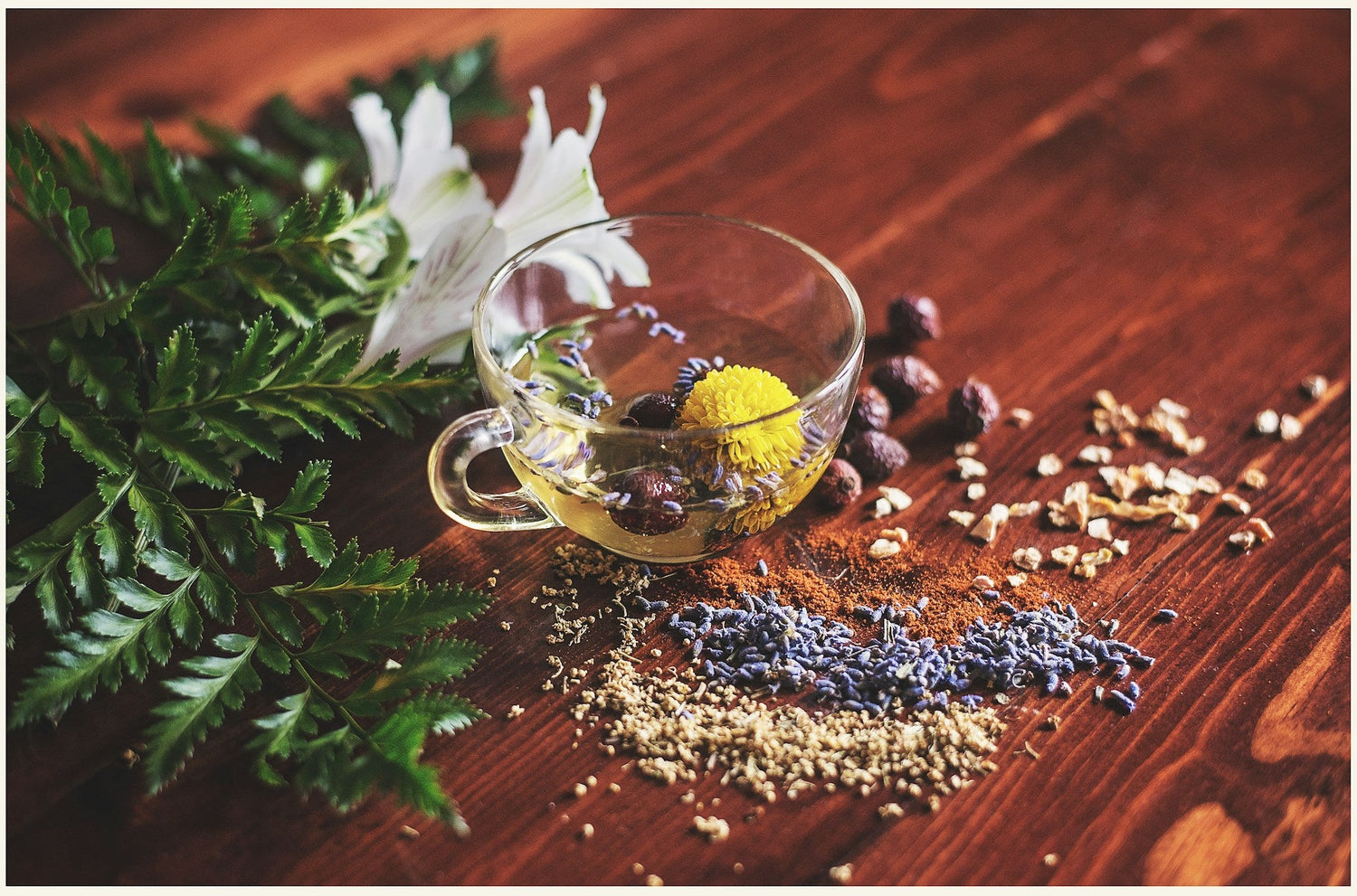 Herbal Teas & Tonics
