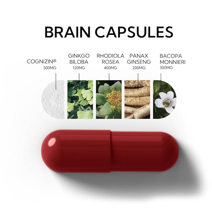Neutonic Nootropic Brain Supplement | 1 Month Supply 90 Capsules | For Men and Women | Support Memory, Mental Clarity, Cognitive Function | Boost Focus, Energy, Brain Health