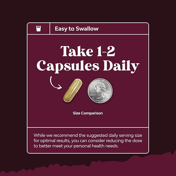 Advanced Kidney Support Supplement - Kidney Cleanse Detox & Repair Cranberry Extract Capsules with Uva Ursi, Stinging Nettle & Astragalus for Kidney Health - Urinary Tract Health - 60 Caps