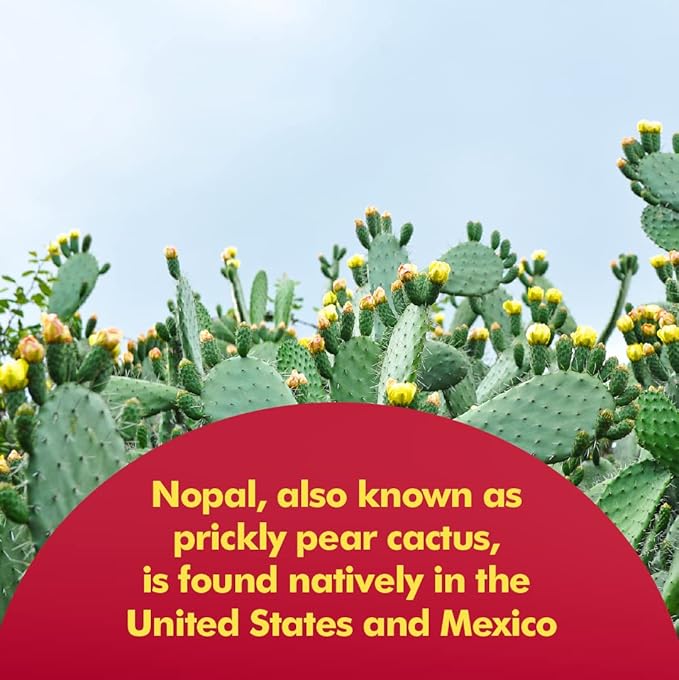 Santo Remedio Nopal, Sugar and Gluten Free Dietary Supplement, Prickly Pear Cactus Dietary Supplement, 700 mg, 180 Capsules, 90 Servings Per Container