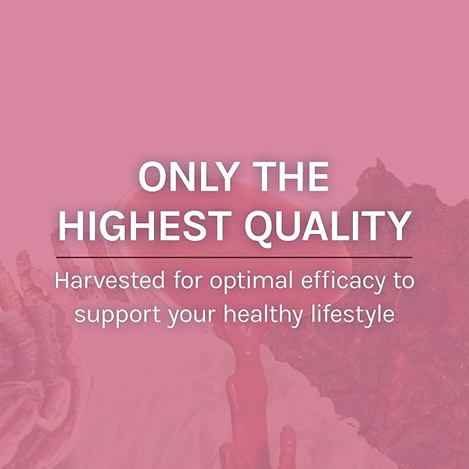Host Defense MycoBotanicals Microbiome* Powder - Digestive & Immune Health Support Supplement - Gut Health Supplement with Turkey Tail, Lion's Mane & Reishi - 3.5 oz (33 Servings)*