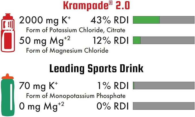 2.0 2K: 50 mg Magnesium + 2000 mg Potassium Cramp Relief Electrolyte Drink Powder: Faster Recovery, Slower Fatigue, Optimized Hydration | 20 Single-Serving Packets (Fruit Punch)