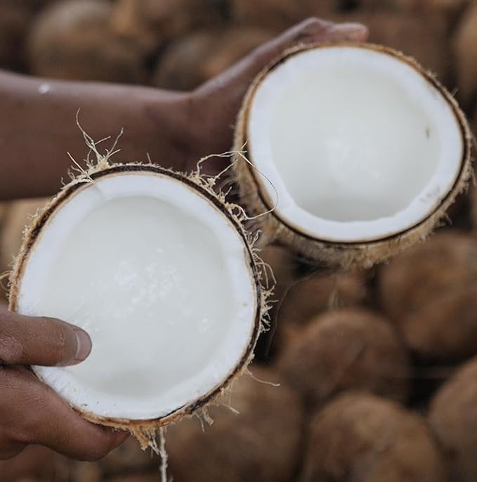 Fractionated Coconut Oil - Sourced Directly from our Farm Partner in the Philippines - Carrier Oil for Diluting Essential Oils, Body, Hair, and Skin Moisturizer - (32oz)