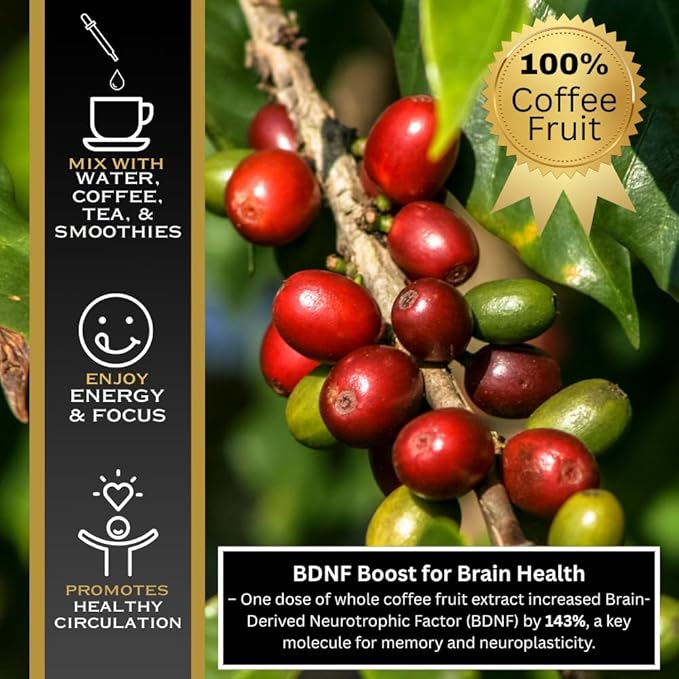 Javaberry Coffee Fruit Extract – Brain Supplement for Focus, Memory & Clarity – Supports BDNF & Mental Energy – Natural Antioxidant Nootropic Liquid with Polyphenols – 60ml (30 Servings)