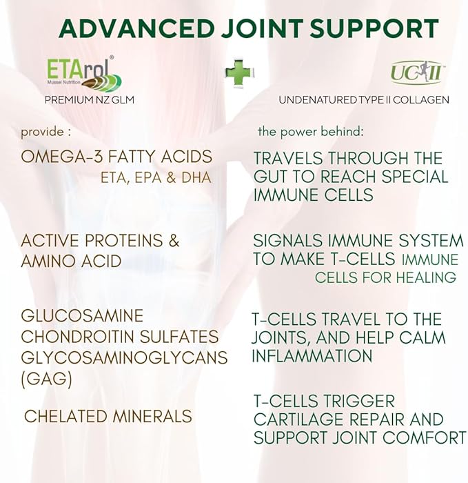 Omega Cyclo - Mussel Plus UC-II, Premium NZ Green Lipped Mussel Plus UC-II Undenatured Type II Collagen, The Ultimate Joint Supplement for Joint Health and Comfort, 90 Capsules