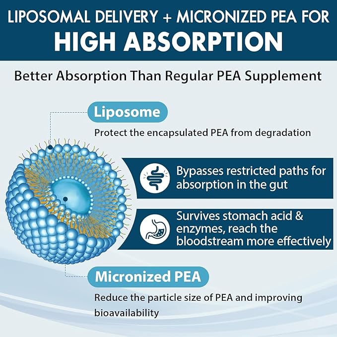 Liposomal Palmitoylethanolamide 1300 MG Plus Luteolin 100 MG, Superior Absorption, Micronized Pea Supplement for Discomfort Management, 60 Softgels