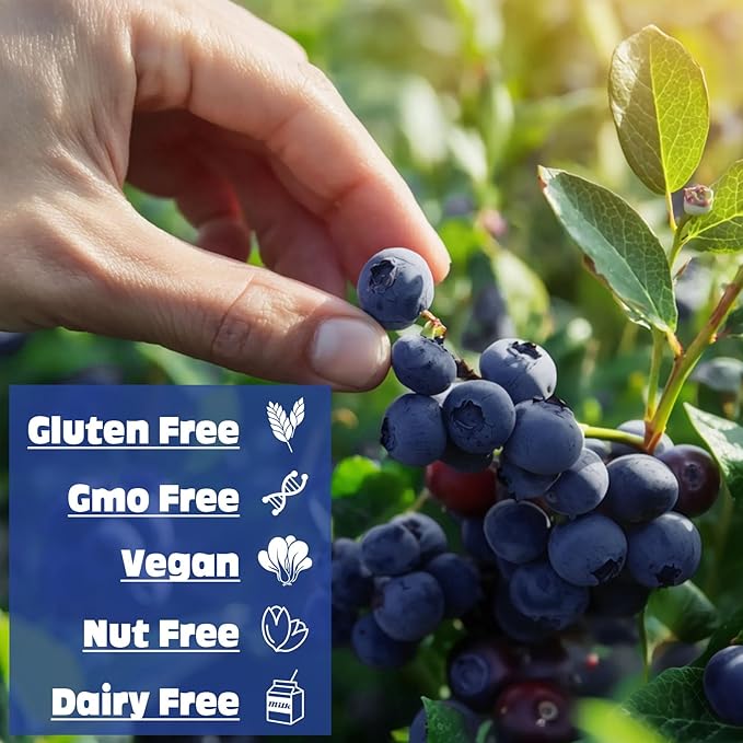Freeze Dried Blueberry Powder - Kiigfood 6 oz/170g Natural Blueberry Powder Fruit Powder, Organic Blueberry Extract for Smoothie, Drinks, Baking, Cakes Decoration - Vegan, Non-GMO, Gluten-Free