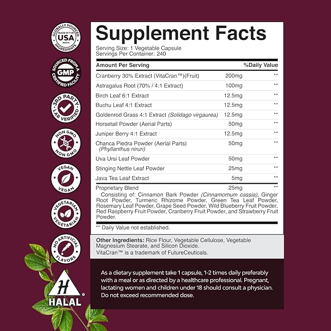 Advanced Kidney Support Supplement - Kidney Cleanse Detox & Repair Cranberry Extract Capsules with Uva Ursi, Stinging Nettle & Astragalus for Kidney Health - Urinary Tract Health - 240 Caps