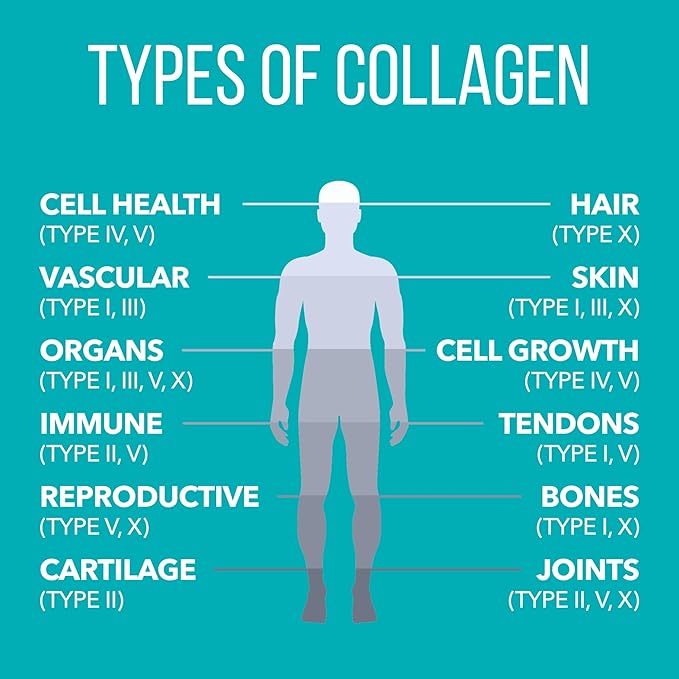 Natures Plus Collagen Peptides, Vanilla - 0.8 lb Powder - Hair, Skin, Nail & Joint Health, Immune System Support - Non-GMO, Gluten Free - 14 Servings