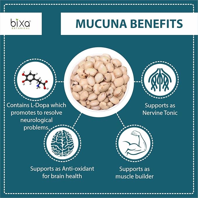 bixa BOTANICAL Mucuna Pruriens Powder | Velvet Bean Powder | Kapikacchu | Kaunch Beej | Ayurvedic Herbal Supplement ǀ Energy Booster | 1 Pound / 16 OZ | Gluten Free, Non-GMO, Steam Treated, Vegan,