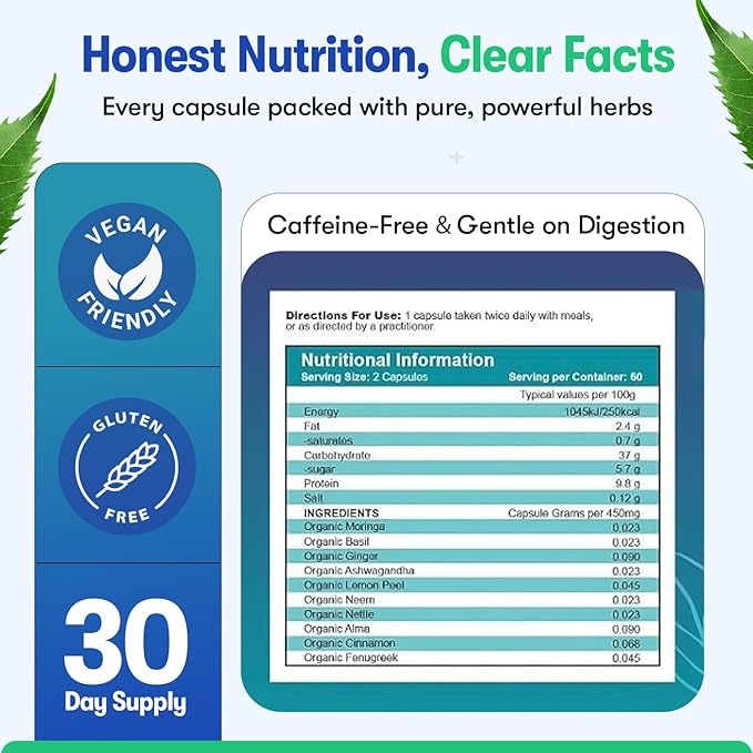 Blood Sugar Support Supplement – 60 Vegan Capsules | Herbal Supplement with Moringa, Cinnamon, Ginger, Neem & Fenugreek | Plant-Based Wellness Supplement - Serving: 2 Capsules/Day