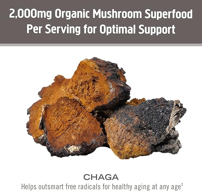 OM MUSHROOM SUPERFOOD Chaga Organic Mushroom Powder, 3.5 Ounce, 50 Servings, US Grown, Sacred Antioxidants & Immune Support, Superfood Mushroom Supplement