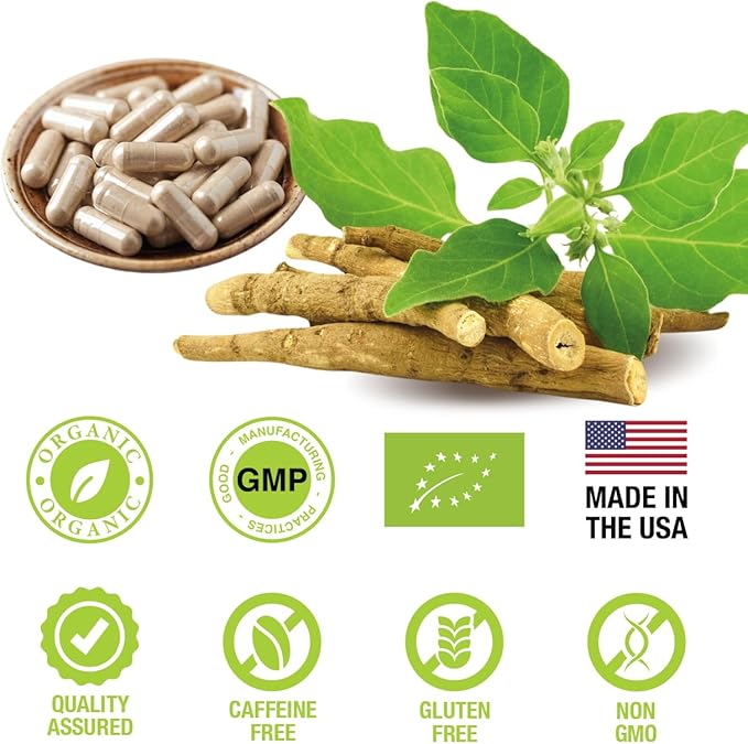 Organic Ashwagandha Capsules 500 mg with KSM-66® & L-Theanine, 120 Veggie Capsules – Non-GMO, Gluten-Free, Soy-Free – Withania Somnifera Herbal Supplement
