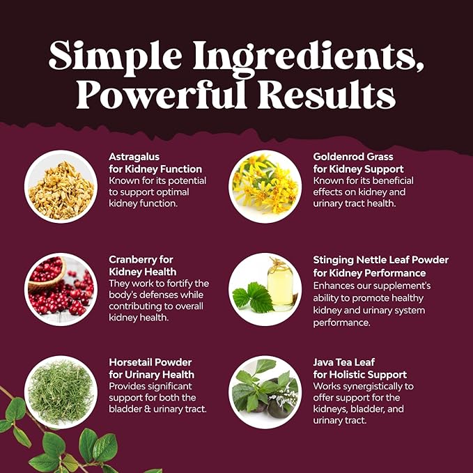 Advanced Kidney Support Supplement - Kidney Cleanse Detox & Repair Cranberry Extract Capsules with Uva Ursi, Stinging Nettle & Astragalus for Kidney Health - Urinary Tract Health - 240 Caps