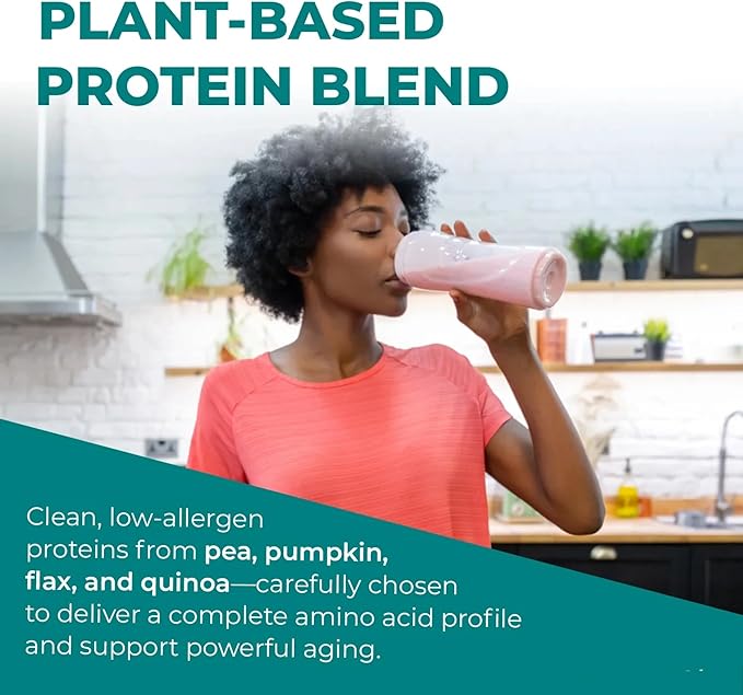 Reignite Wellness by JJ Virgin | Chocolate Plant-Based All-in-One Shake | Plant Protein Powder, Vitamins, Minerals, Greens & Aminos | 22g of Plant Protein | 30 Servings