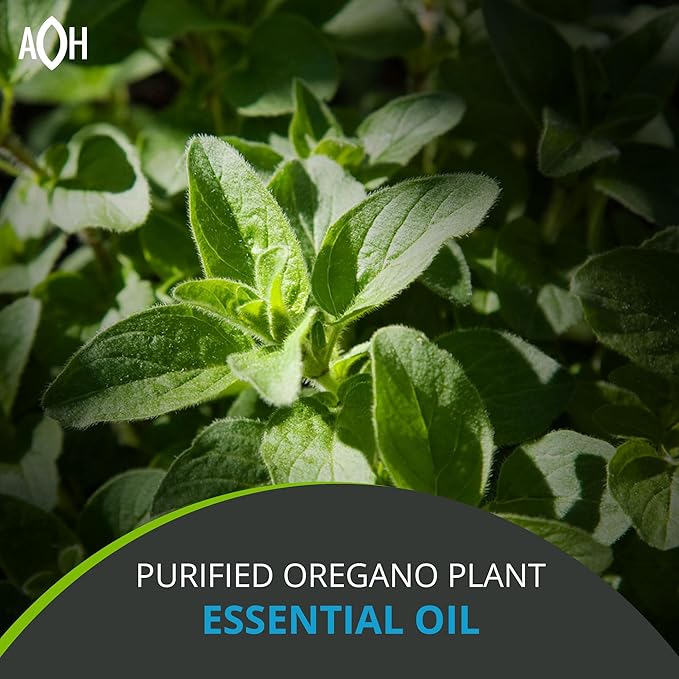 Oil of Oregano, 60 Softgel – Immune and Intestinal Support Supplement for Healthy Digestive – Formulated with Extra Virgin Olive Oil – Plant Based, Vegan and Non-GMO