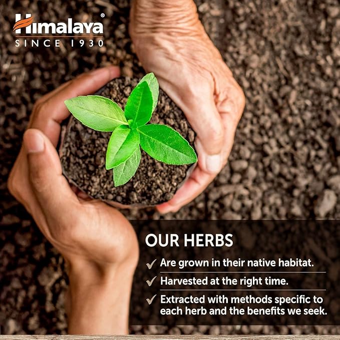 Himalaya GlucoCare, 3 Week Supply - Herbal Glucose Metabolism and Pancreatic Support with Triphala, Turmeric, Bitter Melon, and Gymnema - Vegan, Non-GMO, Gluten Free, 90 Capsules