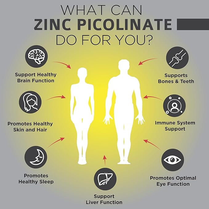 OmniBiotics Zinc Picolinate 30mg Supplement – High Absorption Zinc for Immune System, Healthy Skin, and Energy Support – 180 Vegan Capsules