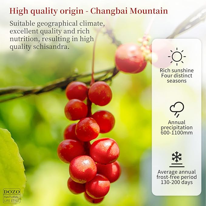 DOZO Schisandra Berry Dried Schisandra Chinensis 7.76oz/220g Schisandra Berry Tea Dried Omija Tea Whole Berries Dried Loose Berry Herbs Pure Natural Wu Wei Zi Caffeine Free 五味子
