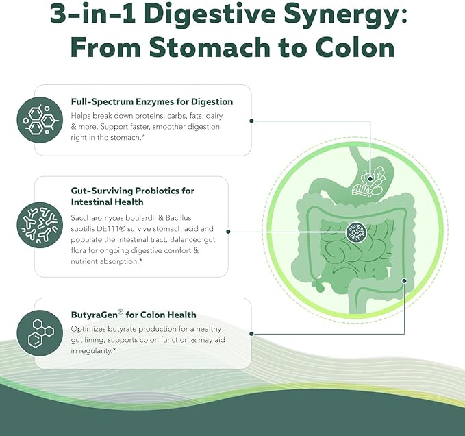 Flora Digest - 3-in-1 Max Strength Digestive Enzymes + Gut Surviving Probiotics & ButyraGen® Postbiotic for Optimal Digestion, Bloating Relief, Regularity, Gut Lining & Colon Support - (60 Capsules)