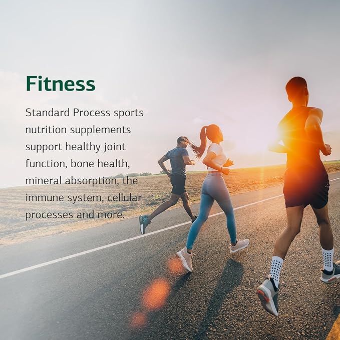 Standard Process Cataplex E2 - Whole Food Heart Health and Antioxidant with D-Alpha Tocopherol Vitamin E, Spanish Moss, Ascorbic Acid, Oat Flour, Inositol, Selenium - 360 Tablets