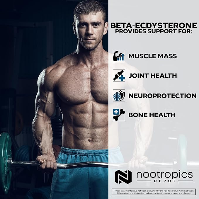 Nootropics Depot Beta Ecdysterone/20-Hydroxyecdysone 50% Tablets | 500mg | Cyanotis Arachnoidea Extract | Phytoecdysteroid | 90 Count