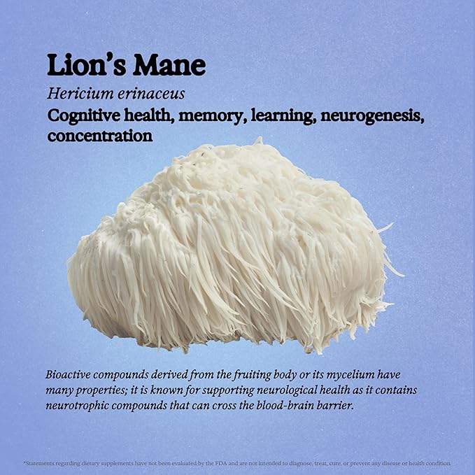 Lion's Mane Mushroom Tincture - Alcohol Free - Dual Extract Mushroom Supplement - Brain Support, Focus, Memory, Liquid Lion's Mane Supplement, Vegan, Non GMO, 3.4 fl oz