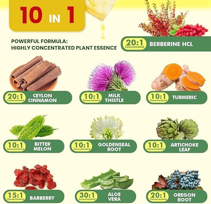 Berberine Supplement with Ceylon Cinnamon - Berberine Liquid Drops with Turmeric Curcumin, Ceylon Cinnamon, Bitter Melon, Berberine Phytosome for Digestion System, Immune Health Support -Vegetarian