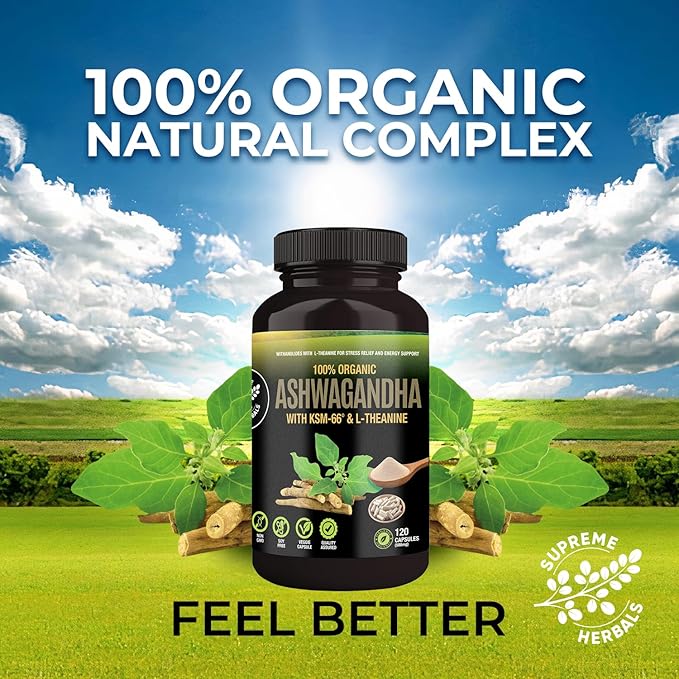 Organic Ashwagandha Capsules 500 mg with KSM-66® & L-Theanine, 120 Veggie Capsules – Non-GMO, Gluten-Free, Soy-Free – Withania Somnifera Herbal Supplement