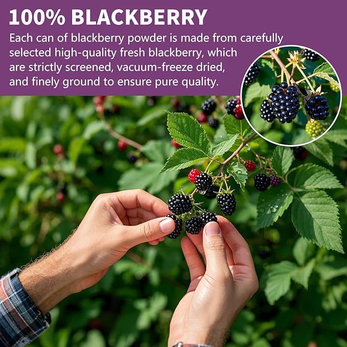 Blackberry Powder Black Raspberry Powder, Frozen Blackberries Powde-r, Blackberry Powde-r, 6.52OZ/185G No Sugar or Added, For Baking, Dressing, Smoothies, Beverages, Cereals, Yogurt