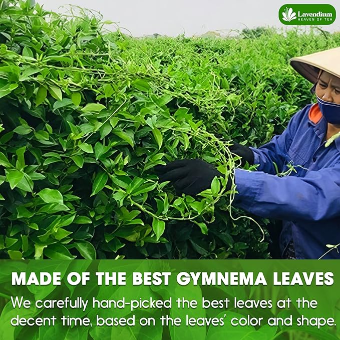 Lavendium, Premium 120 Gymnema Leaf Tea Bags, 100% Natural & Pure from Gymnema Leaves. Gymnema Tea Bags for Diabetics - COLD-DRIED for Maximum Freshness and Nutrient Retention. No Sugar, Vegan.