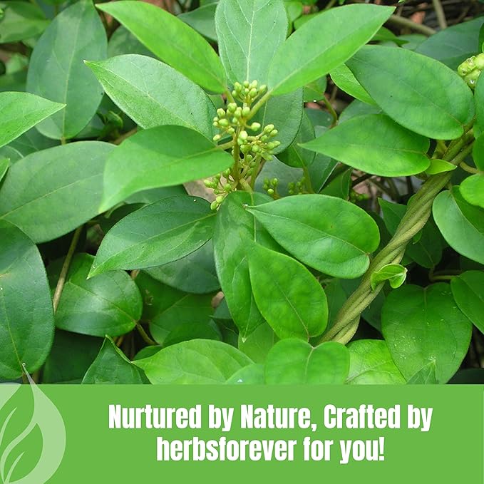 Gurmar Powder Leaves Powder Gymnema Sylvestre Support Healthy Sweet Level Non GMO, Organic, Vegan 230 GMS