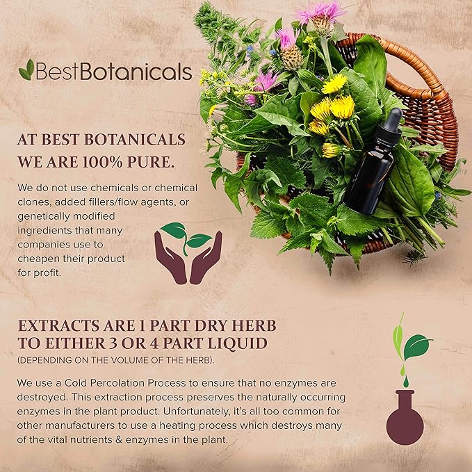 Best Botanicals Black Cohosh Root Powder 4 oz.