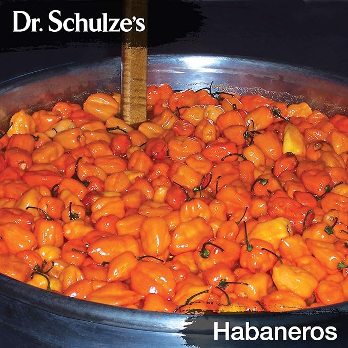 Dr. Schulze's Brain Formula 2 oz. - Vegan and Wild-Harvested | Stimulates Circulation and and Improved Mental Focus