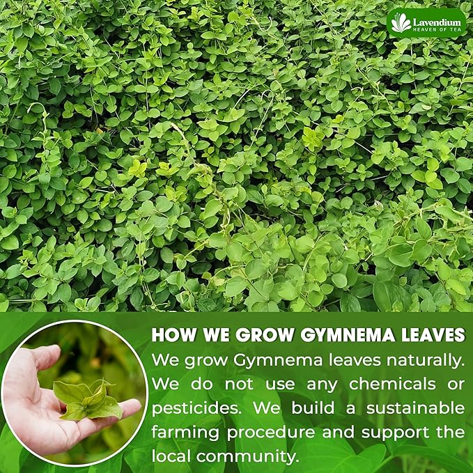 Lavendium, Premium 120 Gymnema Leaf Tea Bags, 100% Natural & Pure from Gymnema Leaves. Gymnema Tea Bags for Diabetics - COLD-DRIED for Maximum Freshness and Nutrient Retention. No Sugar, Vegan.