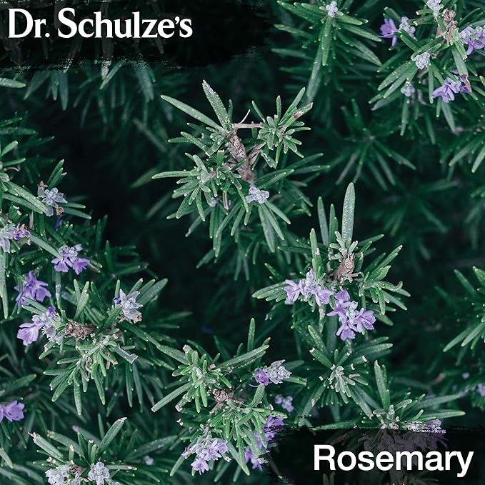 Dr. Schulze's Brain Formula 2 oz. - Vegan and Wild-Harvested | Stimulates Circulation and and Improved Mental Focus